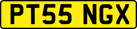 PT55NGX