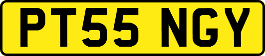 PT55NGY