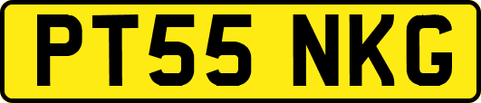 PT55NKG