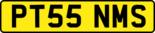 PT55NMS
