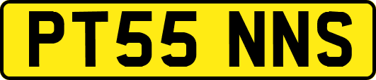 PT55NNS