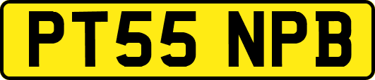PT55NPB