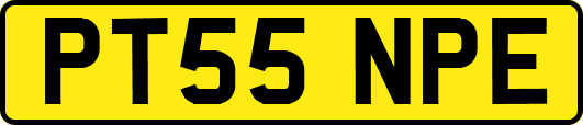 PT55NPE