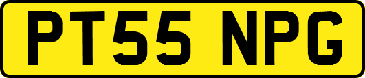 PT55NPG