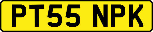 PT55NPK