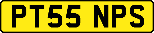PT55NPS