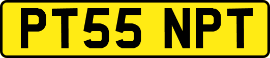 PT55NPT