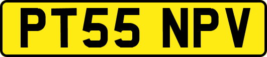 PT55NPV