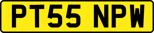 PT55NPW