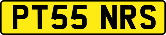 PT55NRS