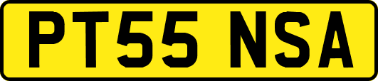 PT55NSA