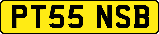 PT55NSB
