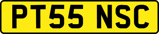 PT55NSC