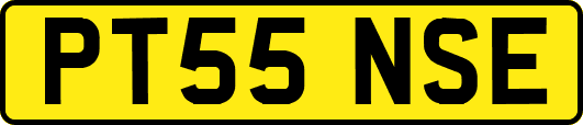 PT55NSE