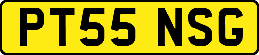 PT55NSG