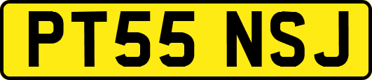 PT55NSJ
