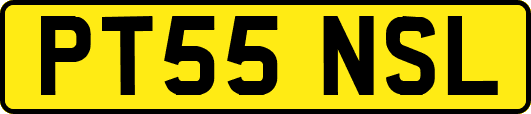 PT55NSL