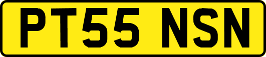 PT55NSN