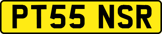 PT55NSR