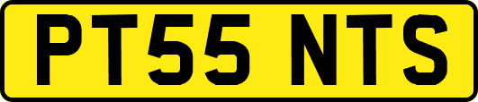 PT55NTS