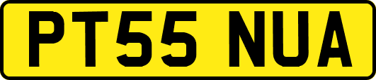 PT55NUA