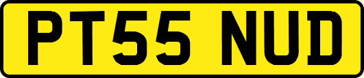 PT55NUD
