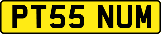 PT55NUM