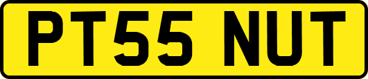 PT55NUT