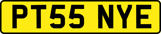 PT55NYE