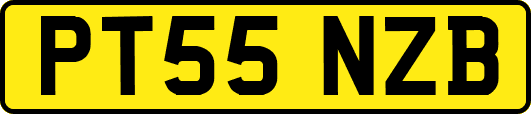 PT55NZB