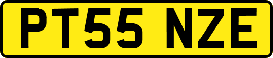 PT55NZE