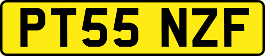 PT55NZF