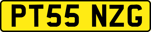 PT55NZG