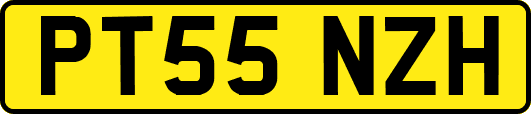 PT55NZH