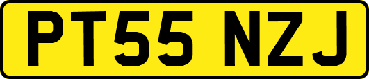 PT55NZJ