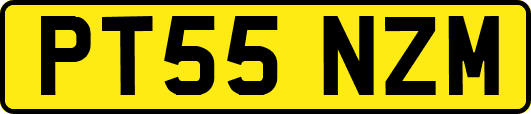 PT55NZM