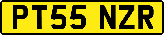 PT55NZR