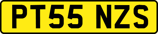 PT55NZS