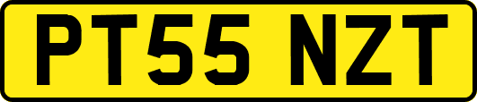 PT55NZT