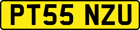 PT55NZU