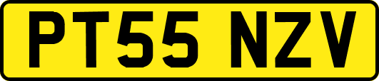 PT55NZV