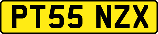 PT55NZX
