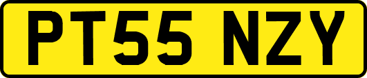 PT55NZY