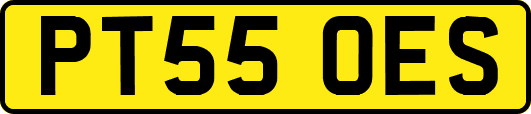 PT55OES