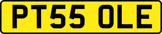PT55OLE