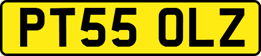 PT55OLZ