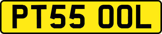 PT55OOL