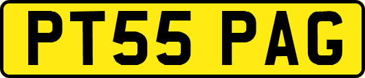 PT55PAG