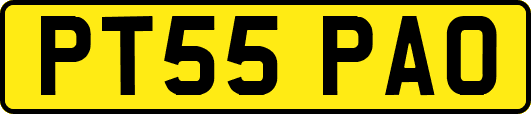 PT55PAO