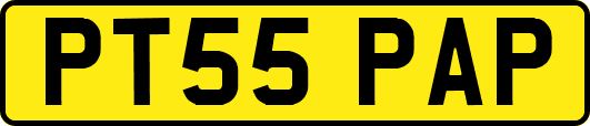 PT55PAP